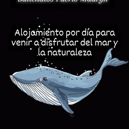 Ballenatos Madryn Puerto Madryn Kültér fotó