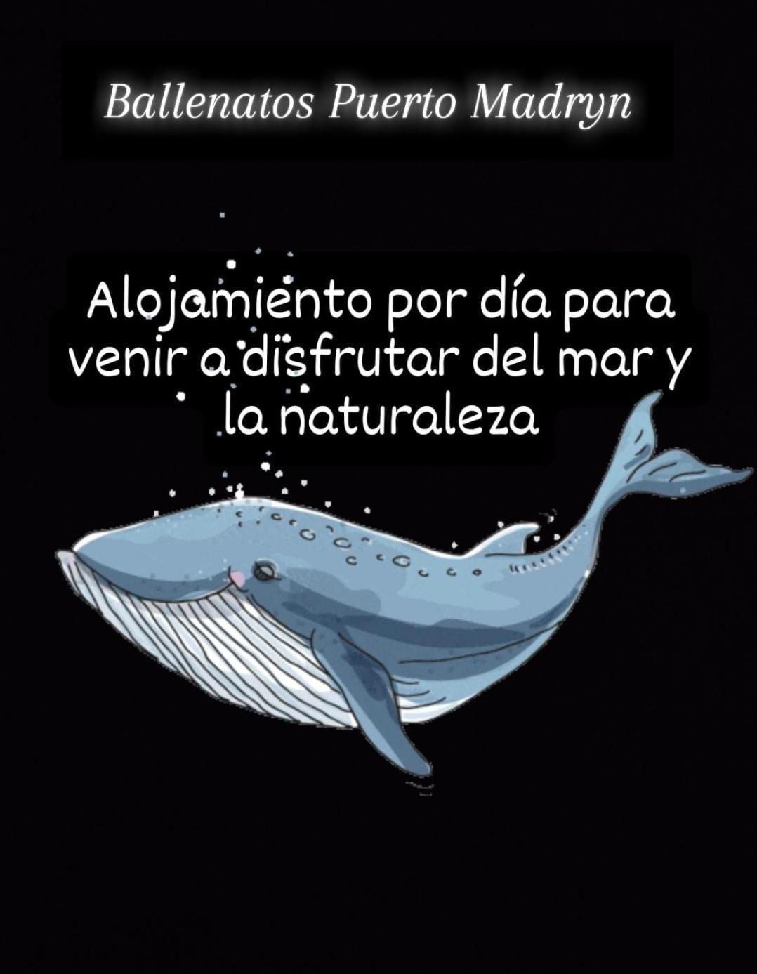 Ballenatos Madryn Puerto Madryn Kültér fotó